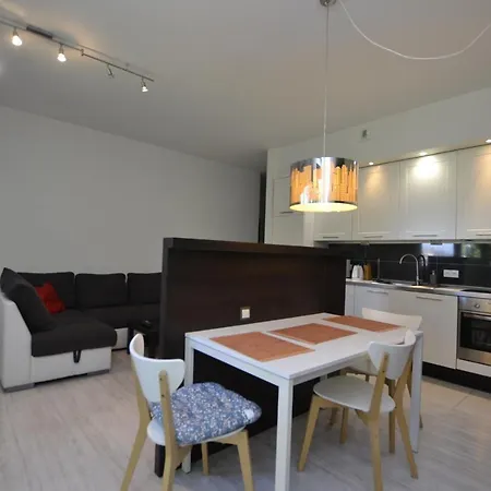 Apartment Bursztynowy Z Garazem -centrum Gliwic *