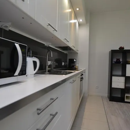 Bursztynowy Z Garazem -centrum Gliwic * Gliwice